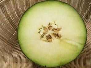 山东小蜜瓜怎么吃,尽享夏日清新美味