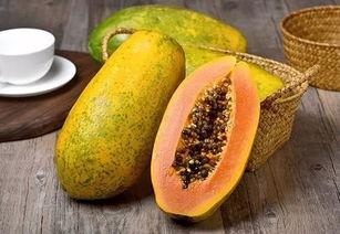 圆蒲瓜坐月子可以吃吗,圆蒲瓜坐月子期间的适宜食用指南