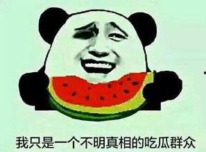 吃瓜热词,揭秘网络热词背后的吃瓜故事