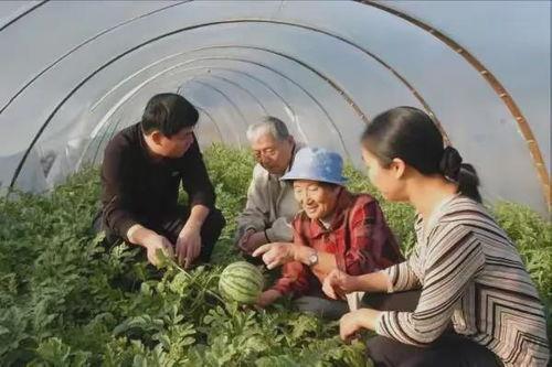 奶奶吃瓜吗,吃瓜趣事