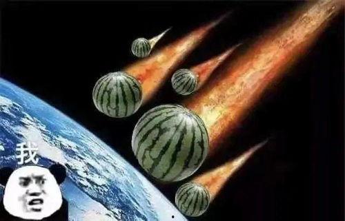 吃瓜吃的有点上头文案,揭秘吃瓜群众的狂欢盛宴