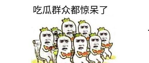 吃瓜公众号大全,带你畅游娱乐资讯海洋