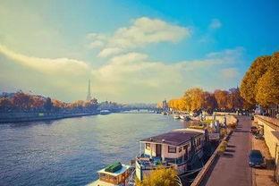 塞纳河小偶像吃瓜,揭秘娱乐圈幕后真相