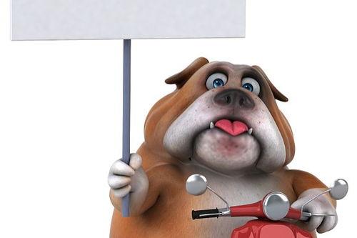 熊出没吃大瓜,瓜果飘香中的欢乐时光