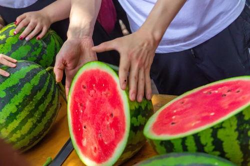 河南的大学吃瓜,揭秘校园美食圈的那些事儿