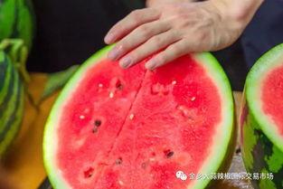 河南的大学吃瓜,揭秘校园美食圈的那些事儿