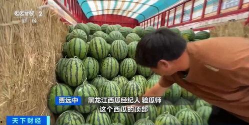 安安的每日吃瓜,揭秘娱乐圈新鲜事