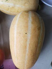 什么瓜适合炒菜吃,揭秘适合炒菜吃的瓜类选择