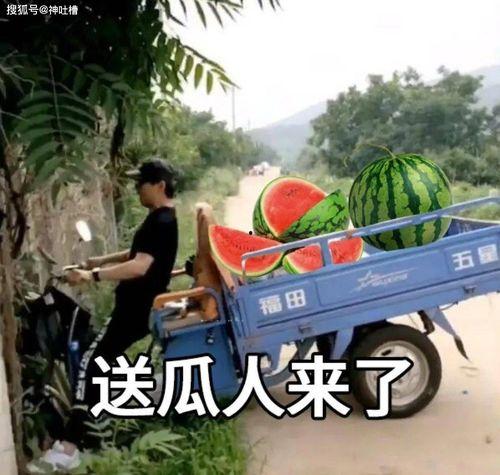 2021最新吃瓜文案