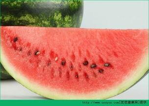 吃白鸽瓜长胖吗,吃白鸽瓜真的会长胖吗？