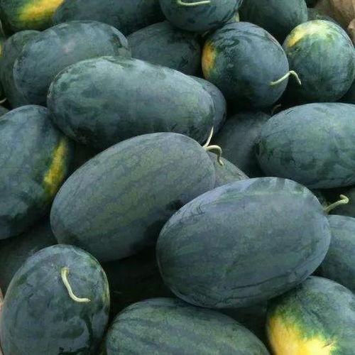 去哪玩吃瓜,去哪玩吃瓜指南