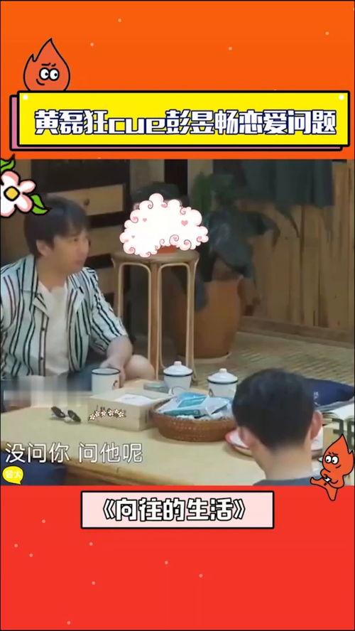 吃瓜严先生,揭秘娱乐圈背后的那些事儿